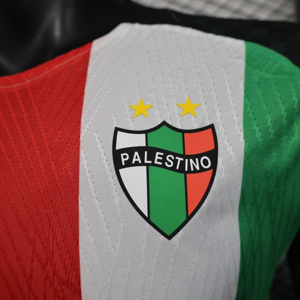 Player Version 25/26 CD Palestino Home Jersey
