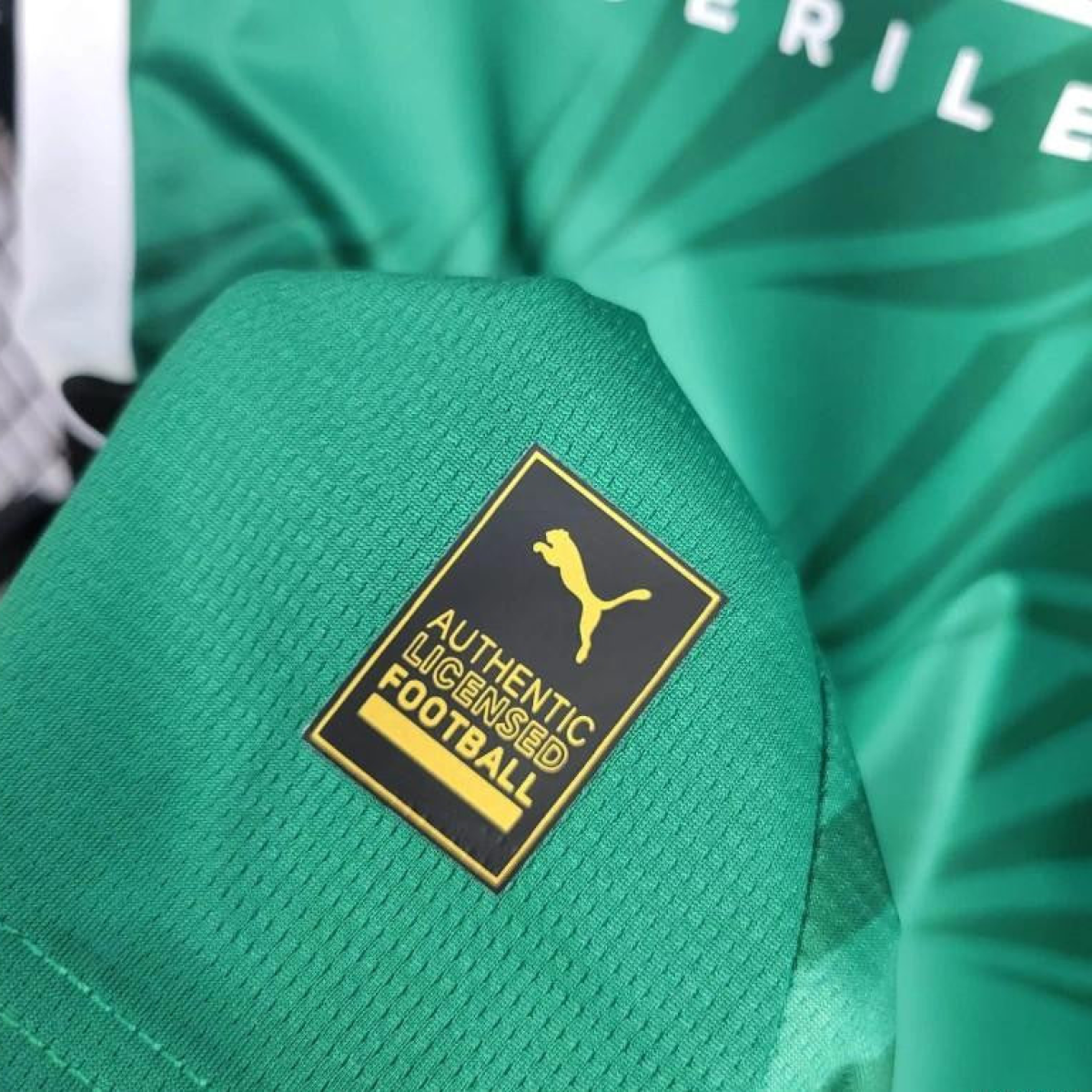 24/25 Borussia Monchengladbach Away Green Jersey