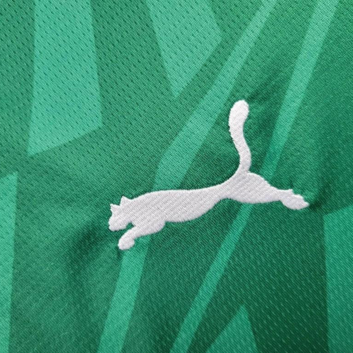 24/25 Borussia Monchengladbach Away Green Jersey