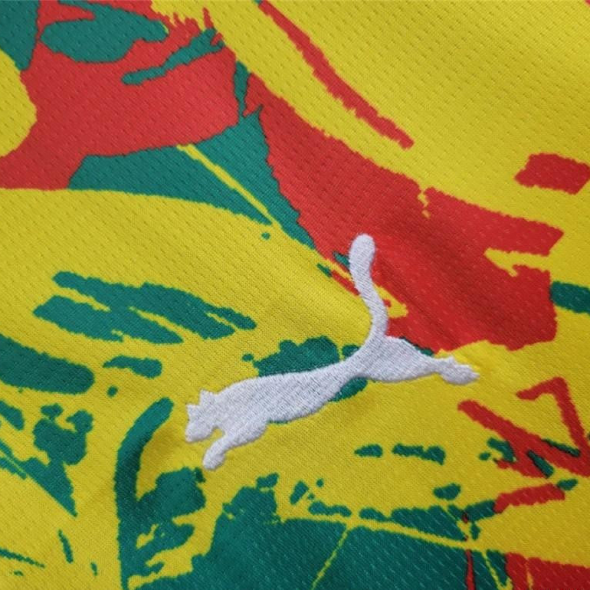 2024 Senegal Pre-match Training Jersey