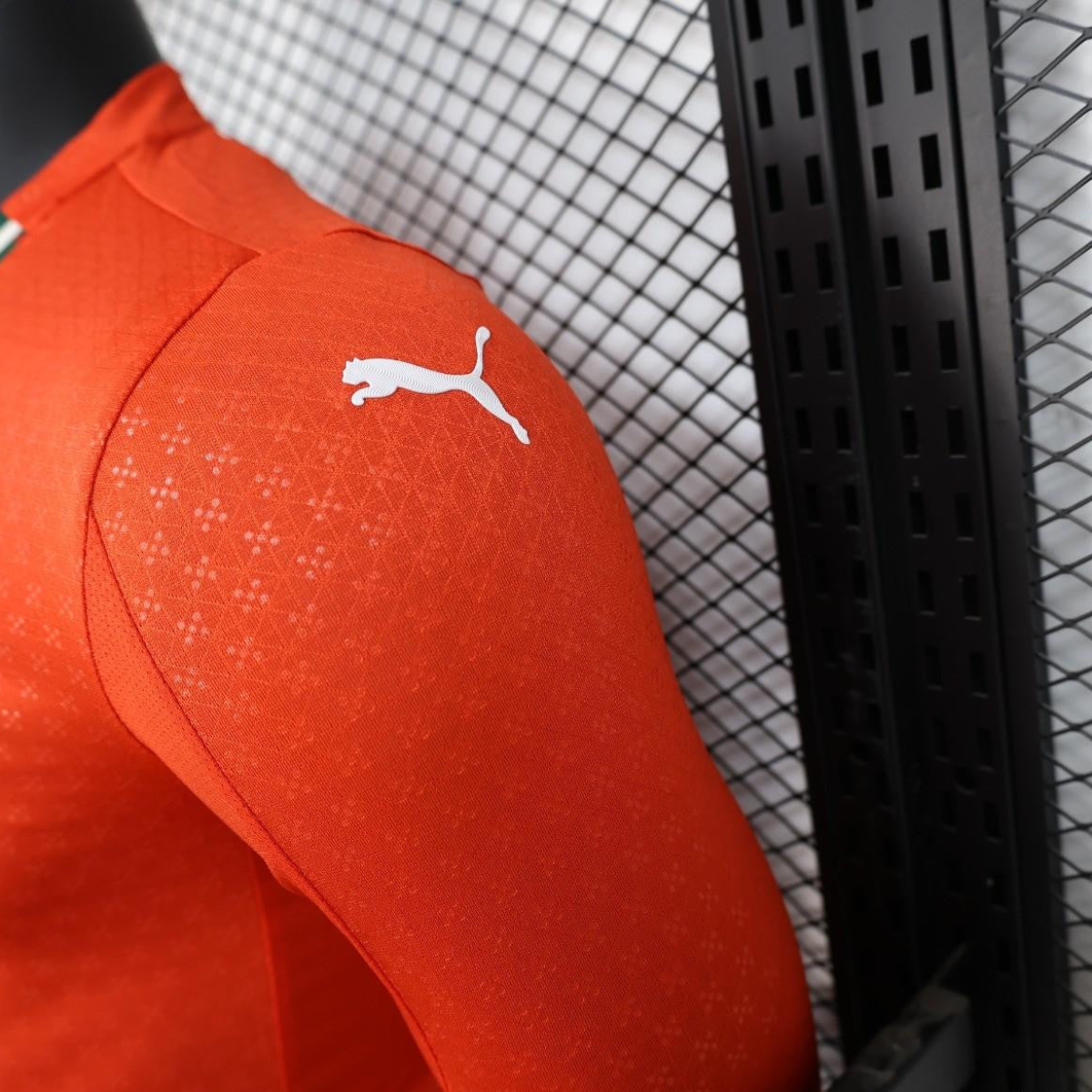 Player Version 2025 Portugal Home Long Sleeve Jersey