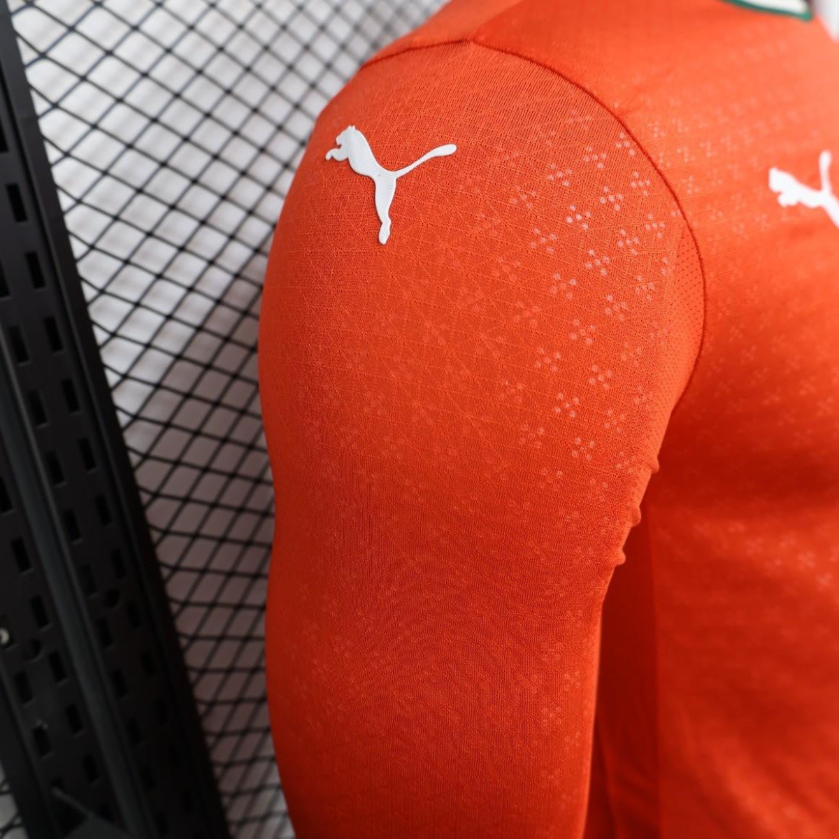 Player Version 2025 Portugal Home Long Sleeve Jersey