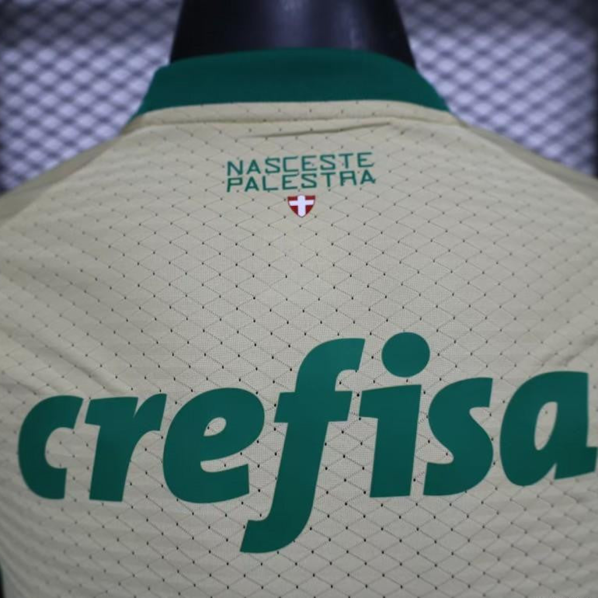 Player Version 24/25 Palmeiras Third Golden Jersey