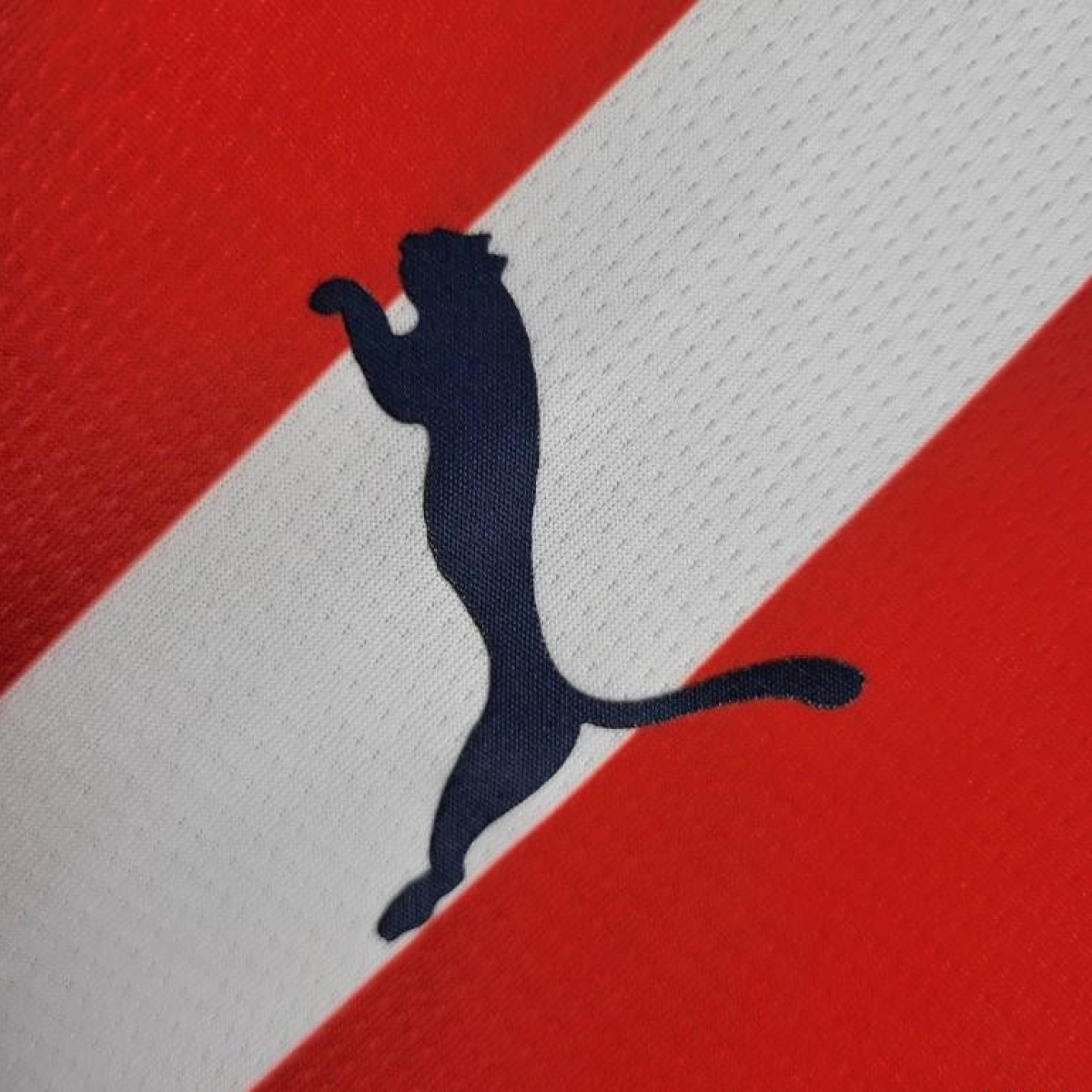 2024 Chivas Guadalajara Home Jersey