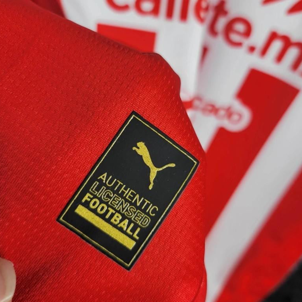 2024 Chivas Guadalajara Home Jersey