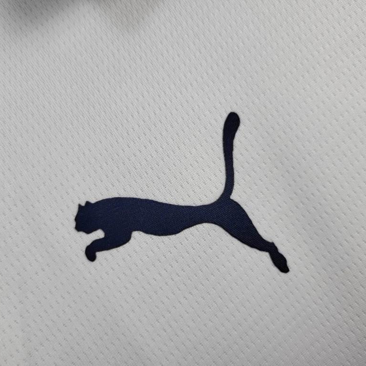 2024 Chivas Guadalajara Away Jersey