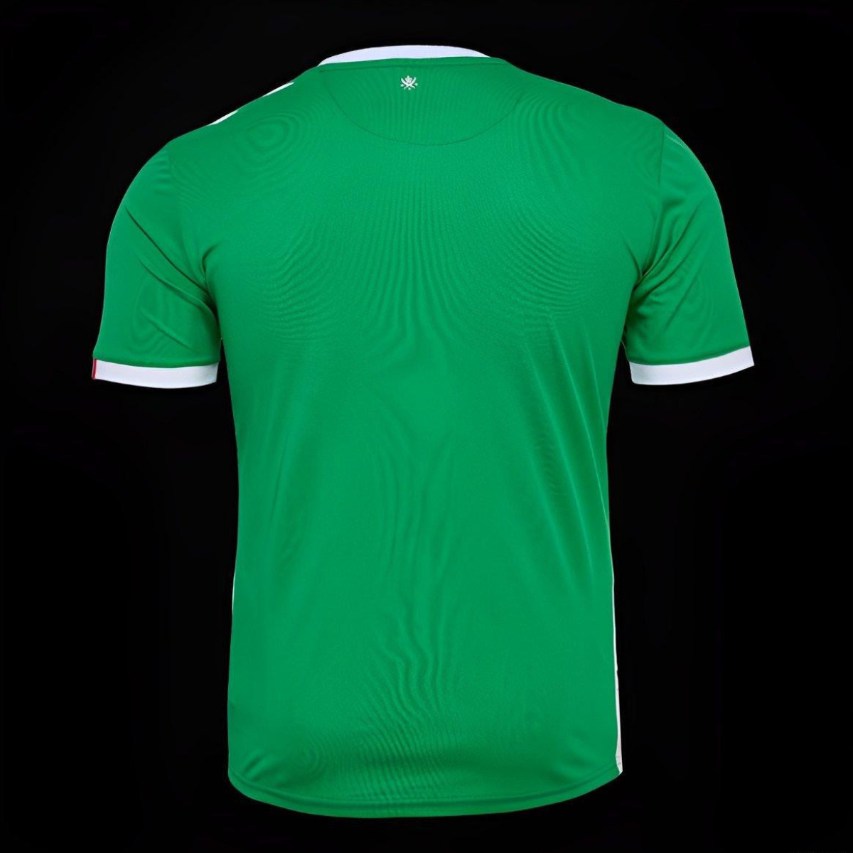 24/25 Saint-Etienne Home Jersey