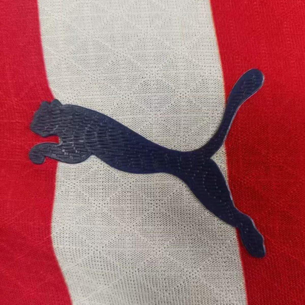 Player Version 24/25 Chivas Guadalajara Home Jersey