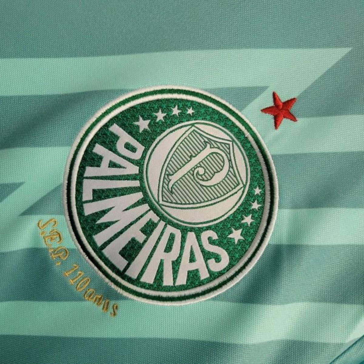 24/25 Palmeiras Goalkeeper Green Jersey