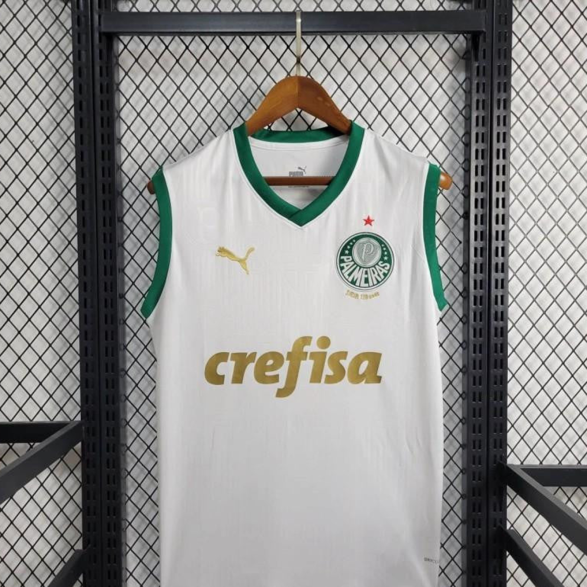 24/25 Palmeiras Away White Vest Jersey