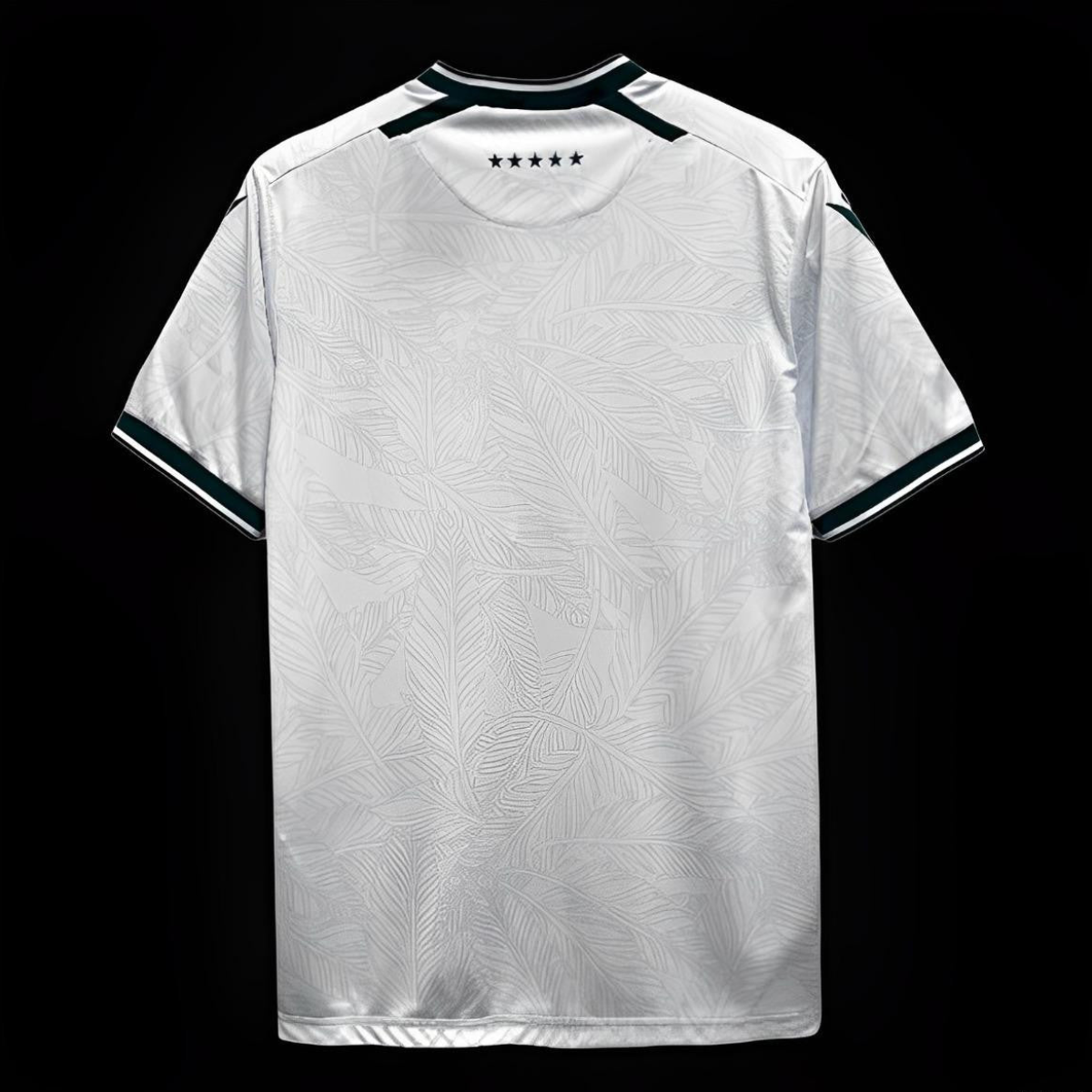 24/25 Santiago Wanderers Away White Jersey