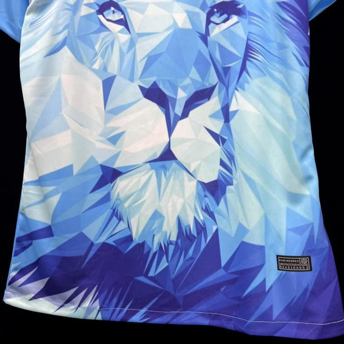 2024 Netherlands Special Blue Jersey
