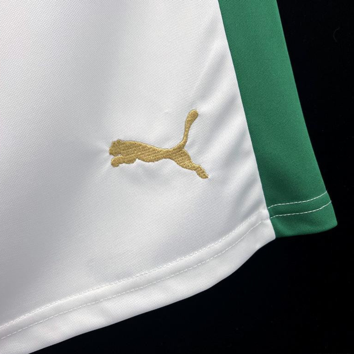 24/25 Palmeiras Home Shorts