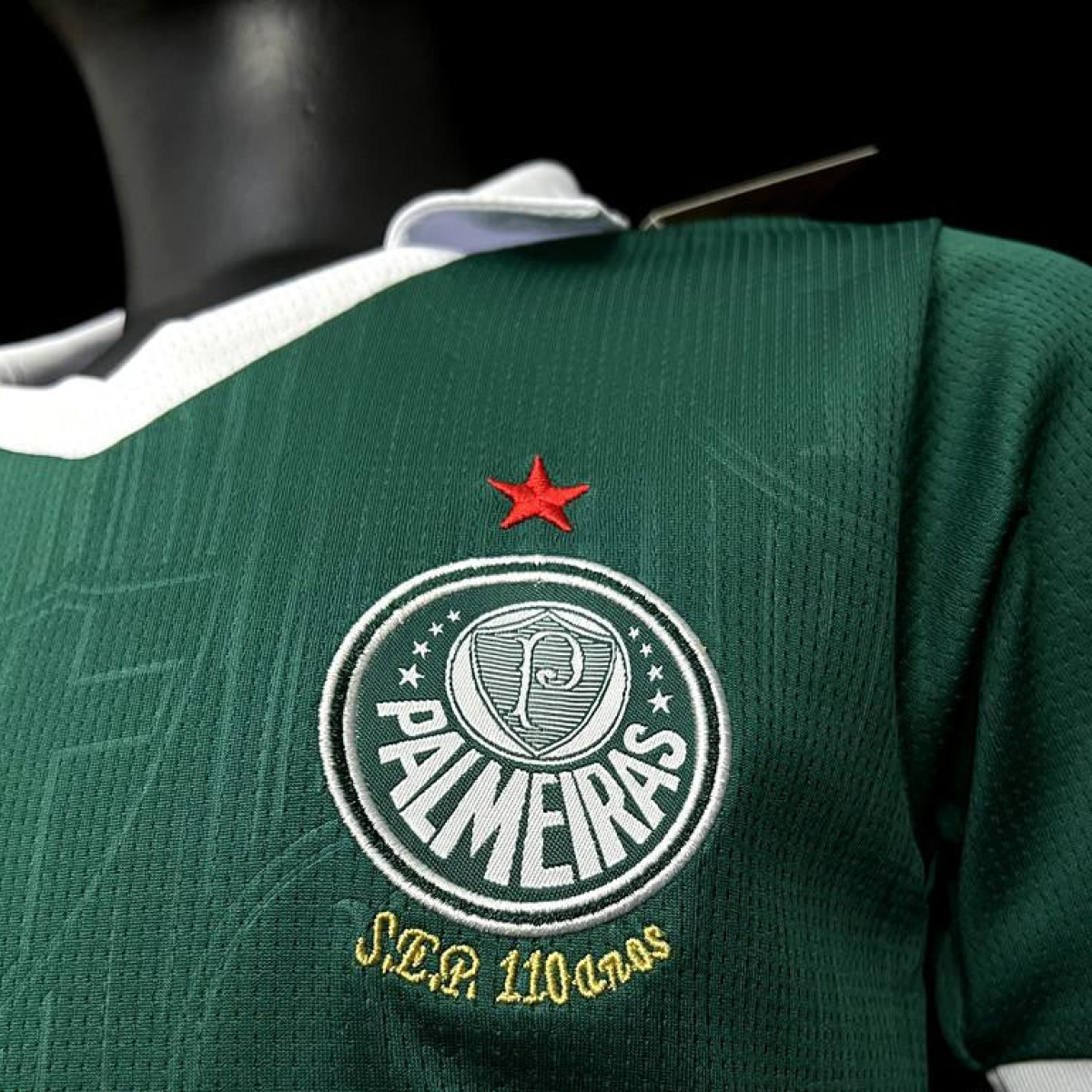 24/25 Kids Palmeiras Home Jersey