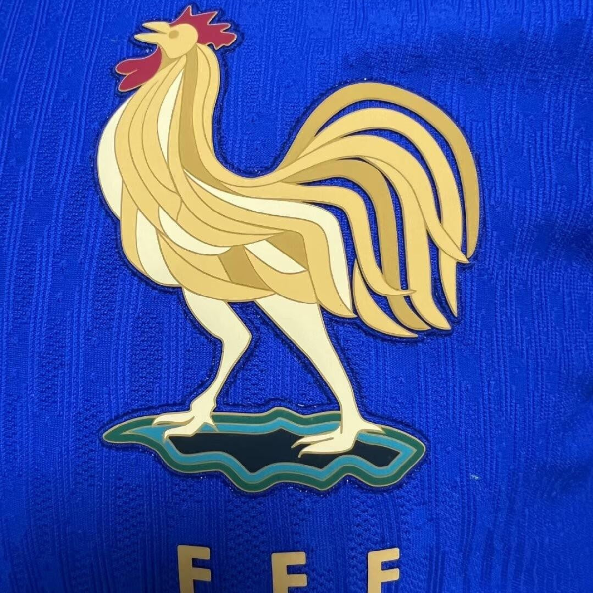Player Version 2024 France Home Jersey