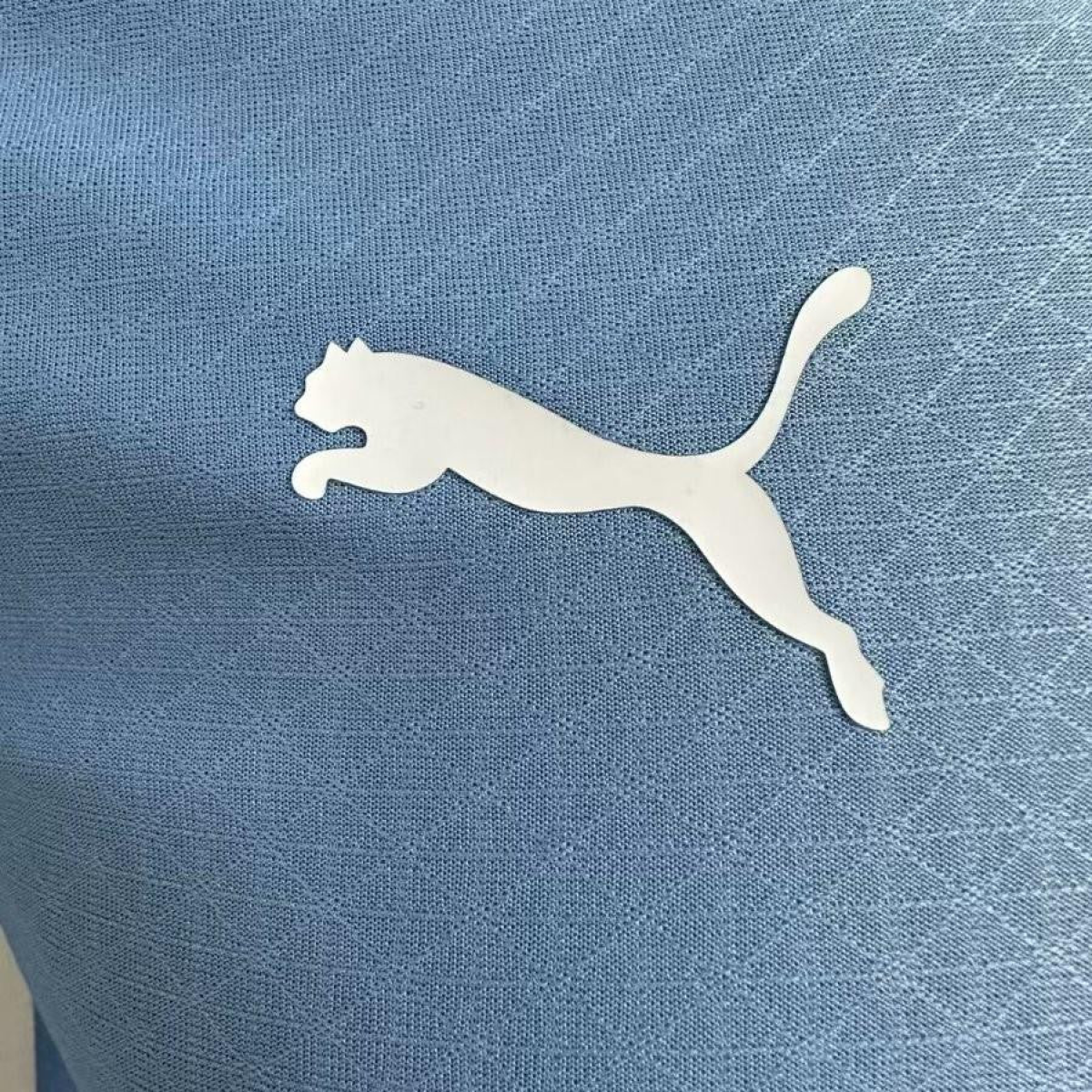 Player Version 24/25 Manchester City Home Jersey