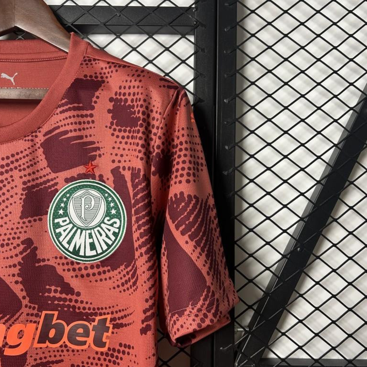 25/26 Palmeiras Goalkeeper Red Jersey