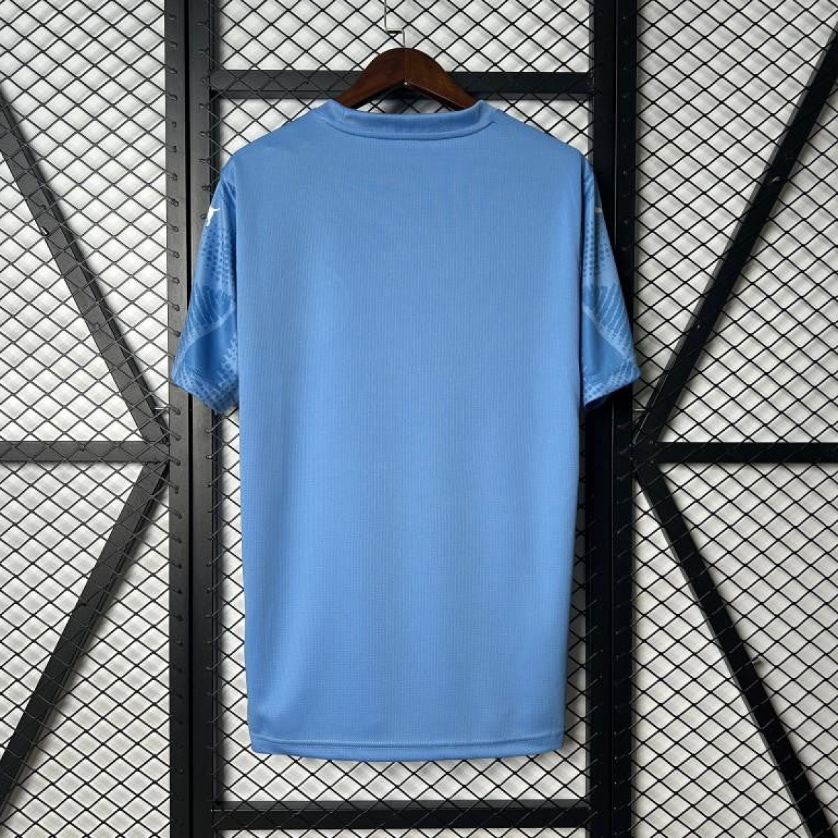 25/26 Palmeiras Goalkeeper Blue Jersey