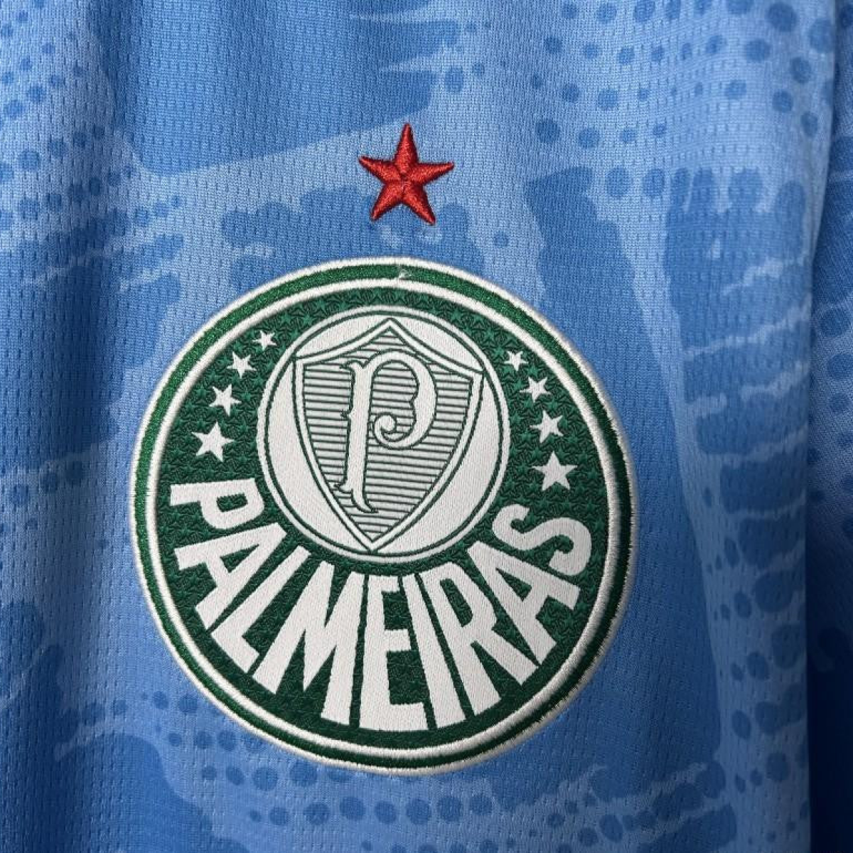25/26 Palmeiras Goalkeeper Blue Jersey