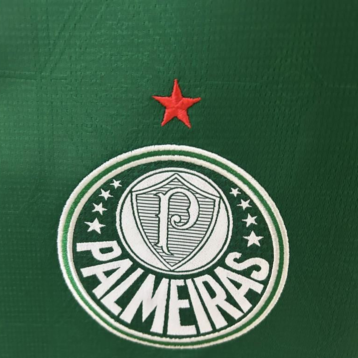 25/26 Palmeiras Home Jersey