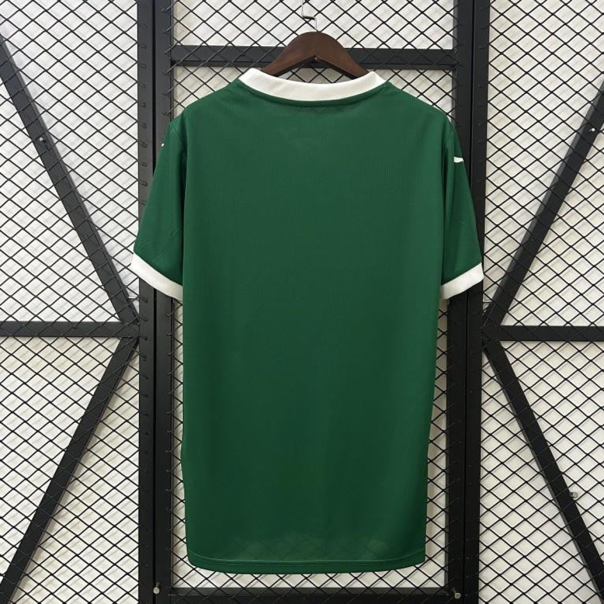 25/26 Palmeiras Home Jersey
