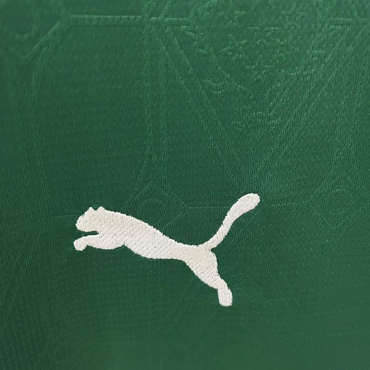25/26 Palmeiras Home Jersey