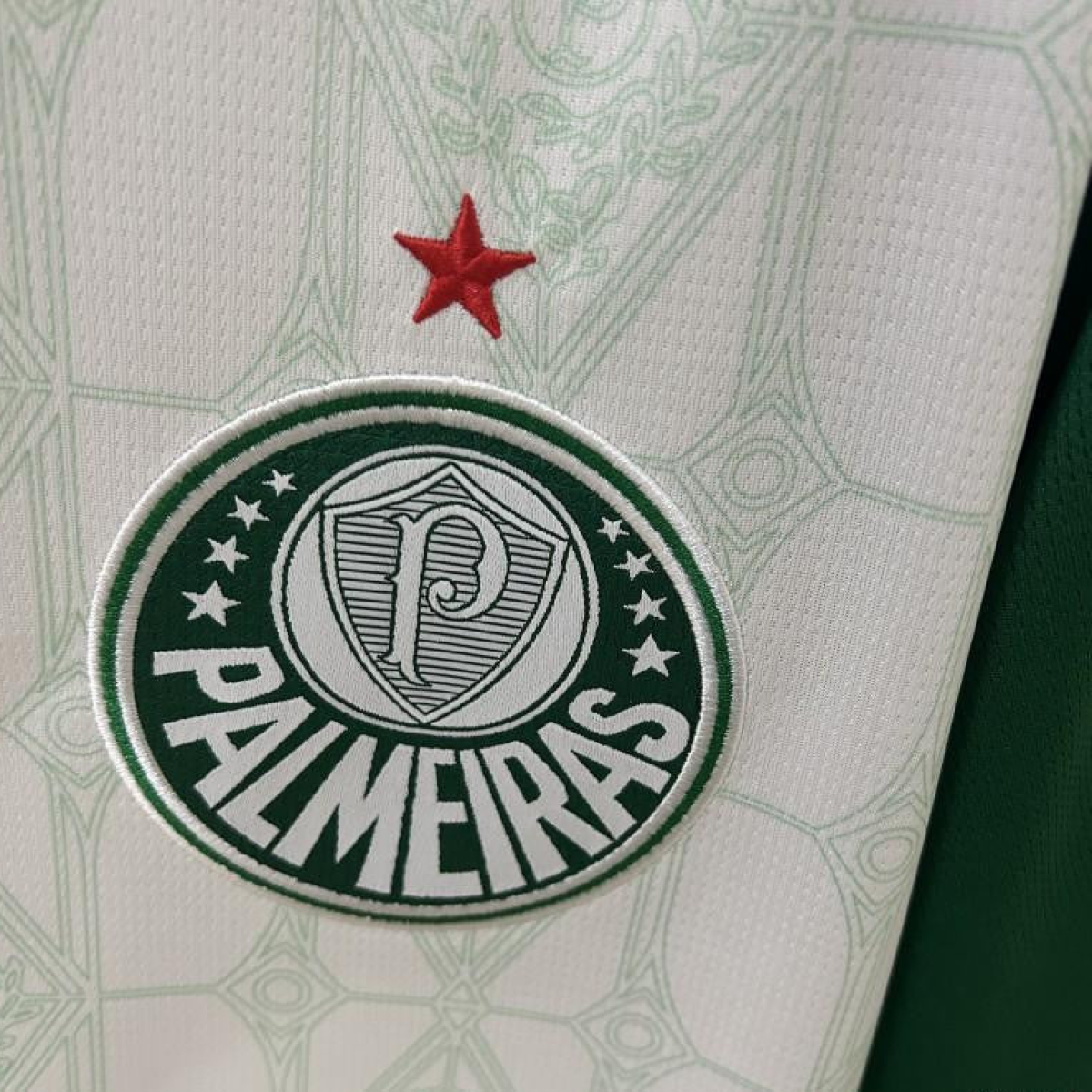 25/26 Palmeiras Away Jersey