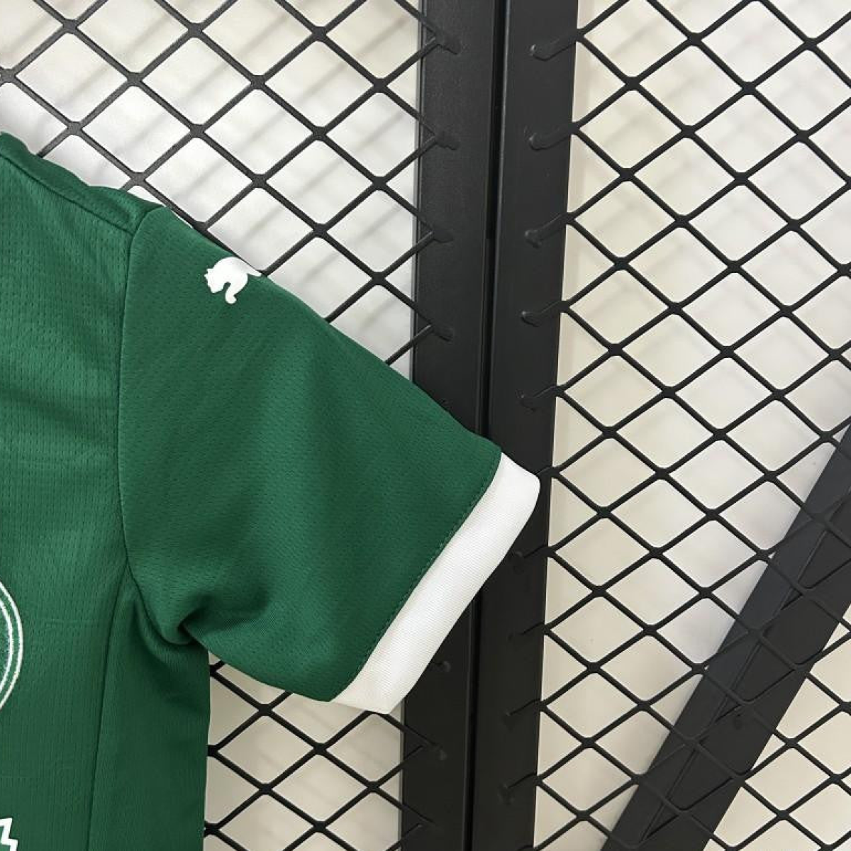 25/26 Kids Palmeiras Home Size 16-28 Jersey