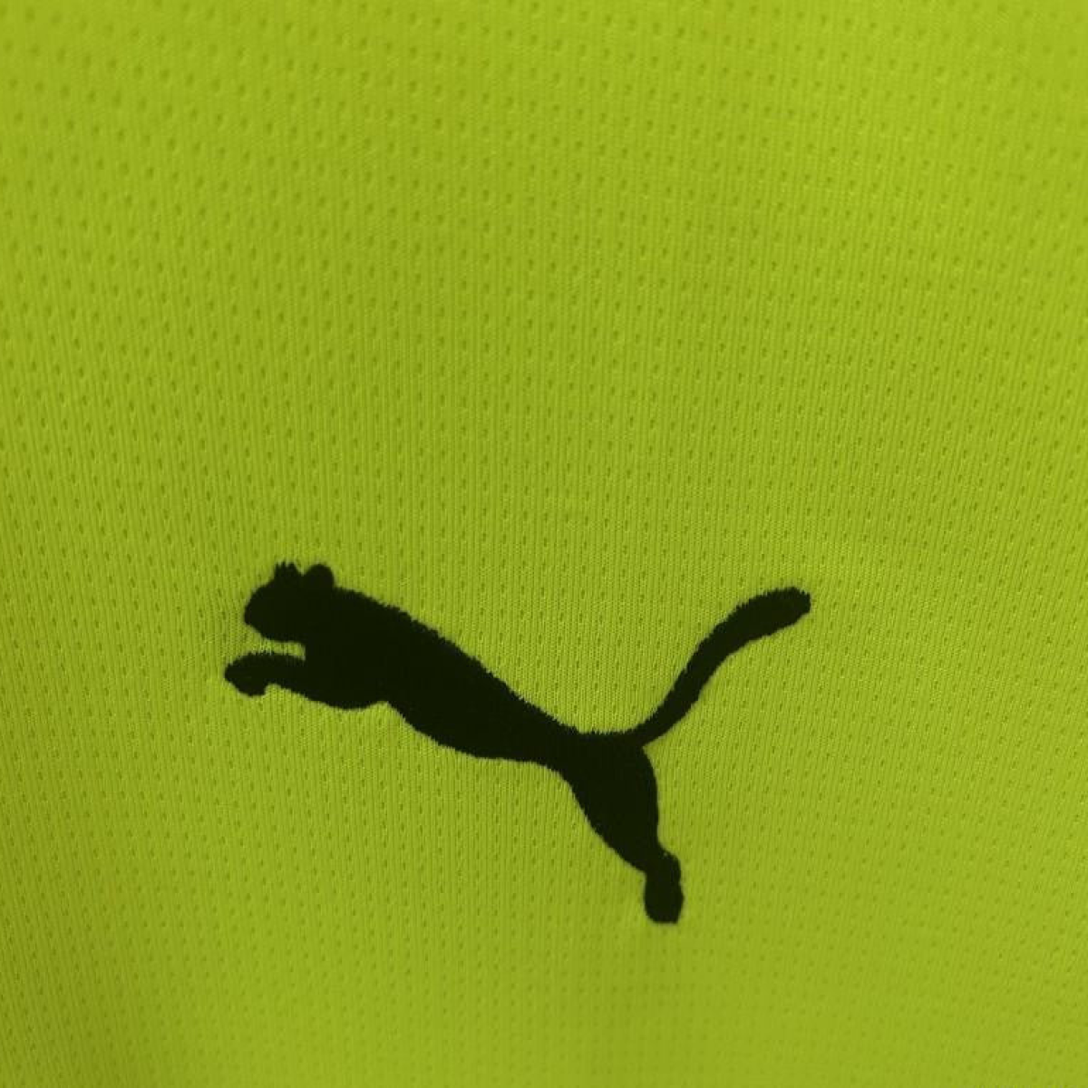 24/25 Borussia Dortmund Special Green Jersey