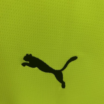24/25 Borussia Dortmund Special Green Jersey