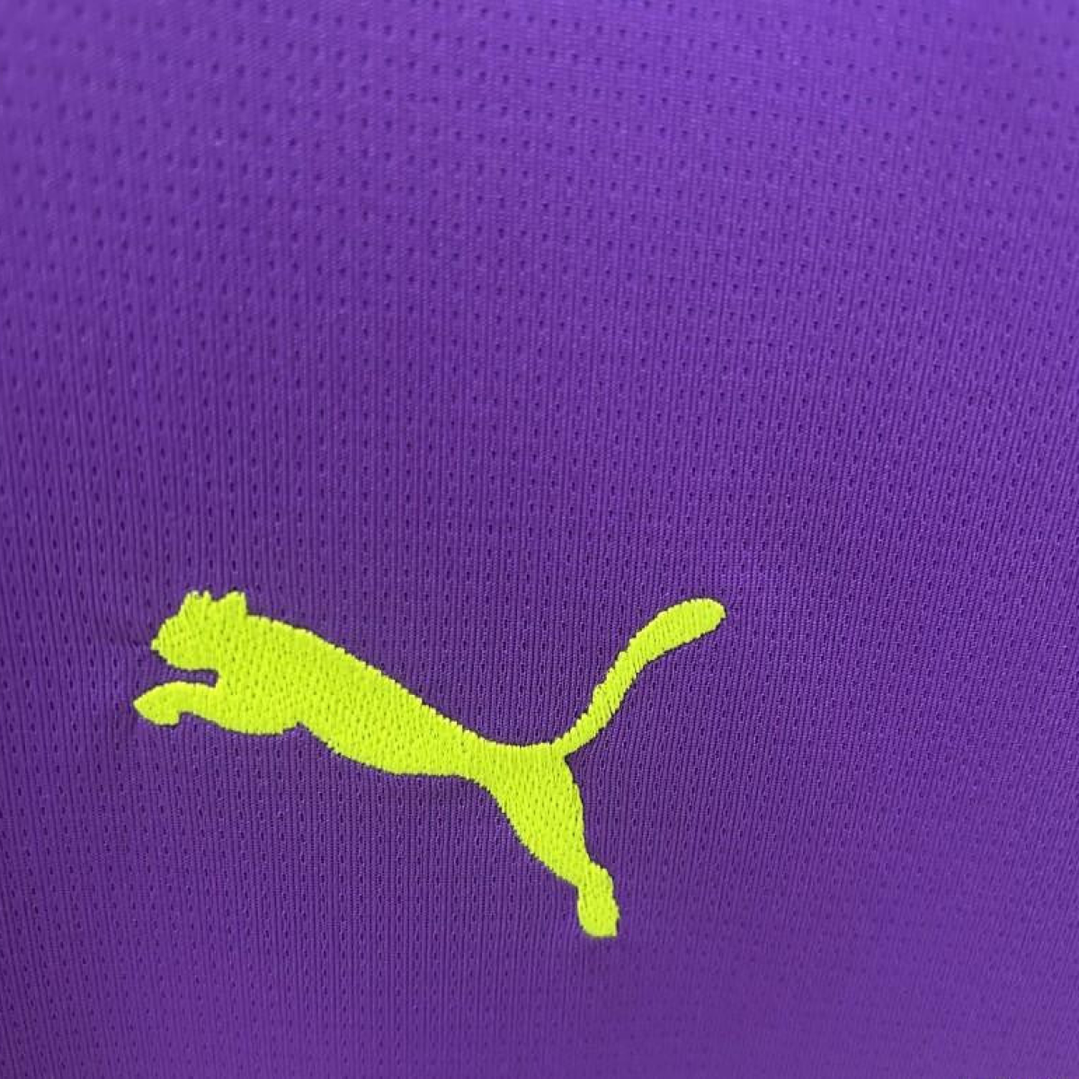 24/25 Borussia Dortmund Purple Goalkeeper Jersey