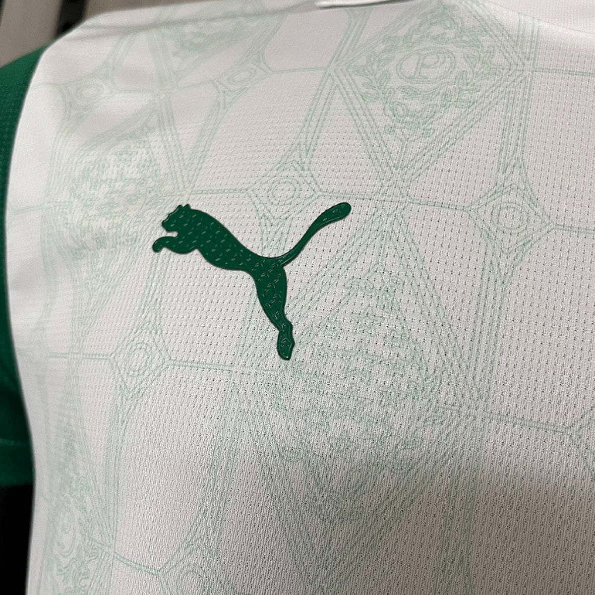25/26 Player Version Edition Palmeiras Away S-XXXXL Jersey