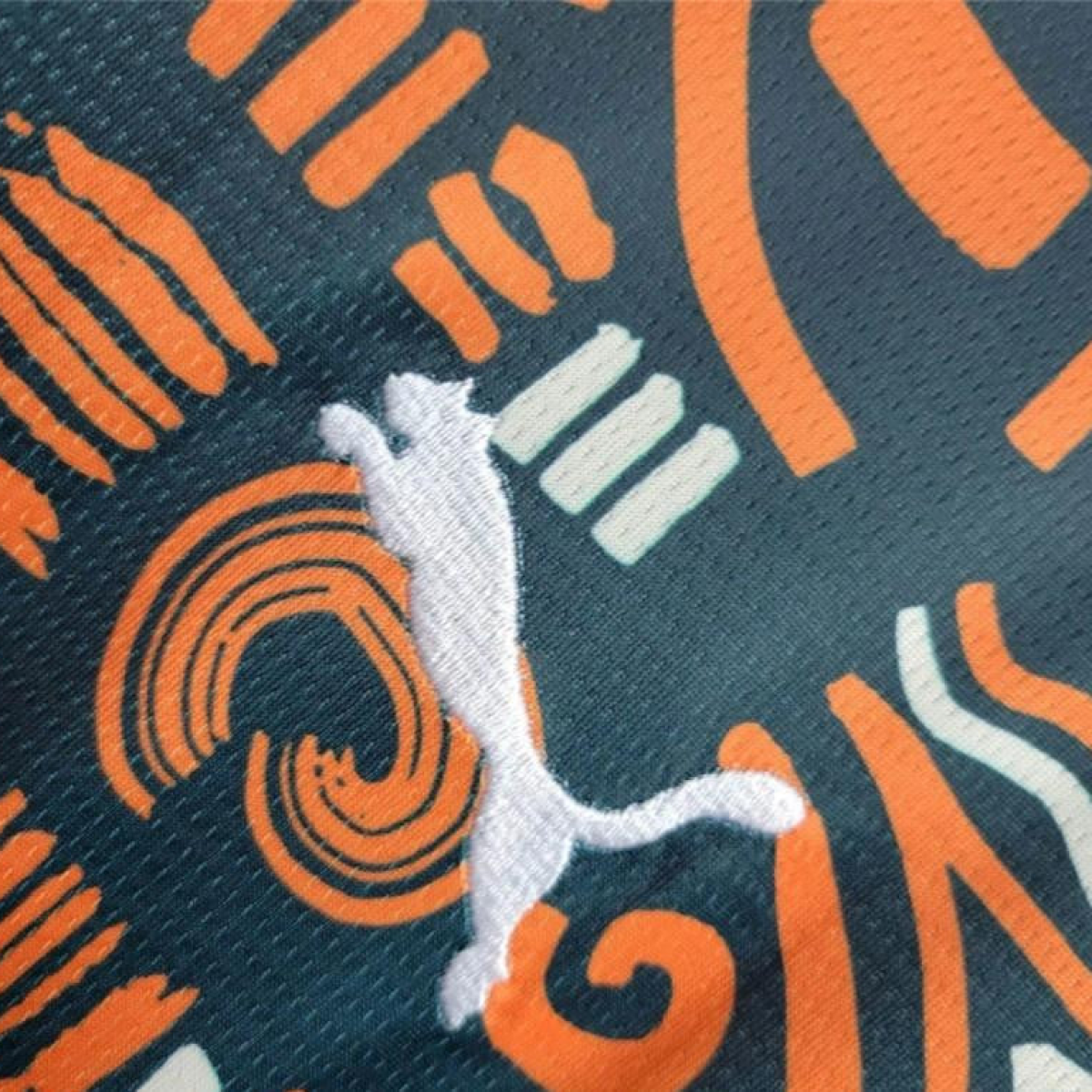 2024 Ivory Coast Pre-Match Train Jersey