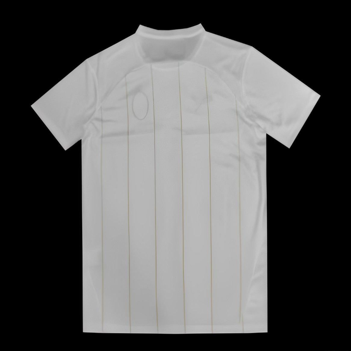 24/25 AC Milan Pre-Match 125Th Anniversary White Jersey