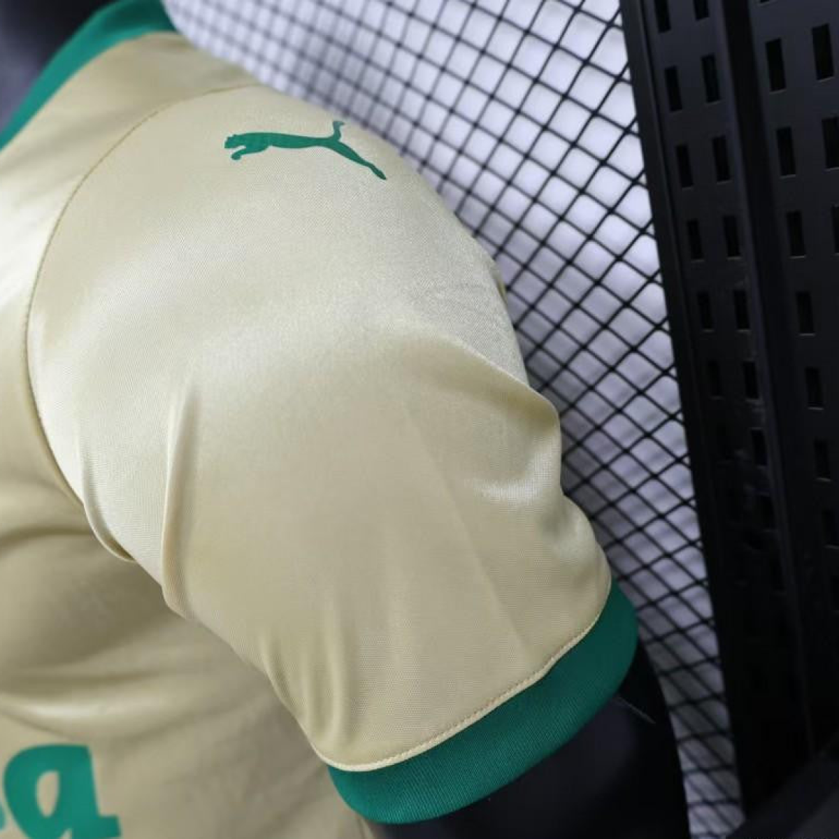 Player Version 24/25 Palmeiras Third Golden Jersey