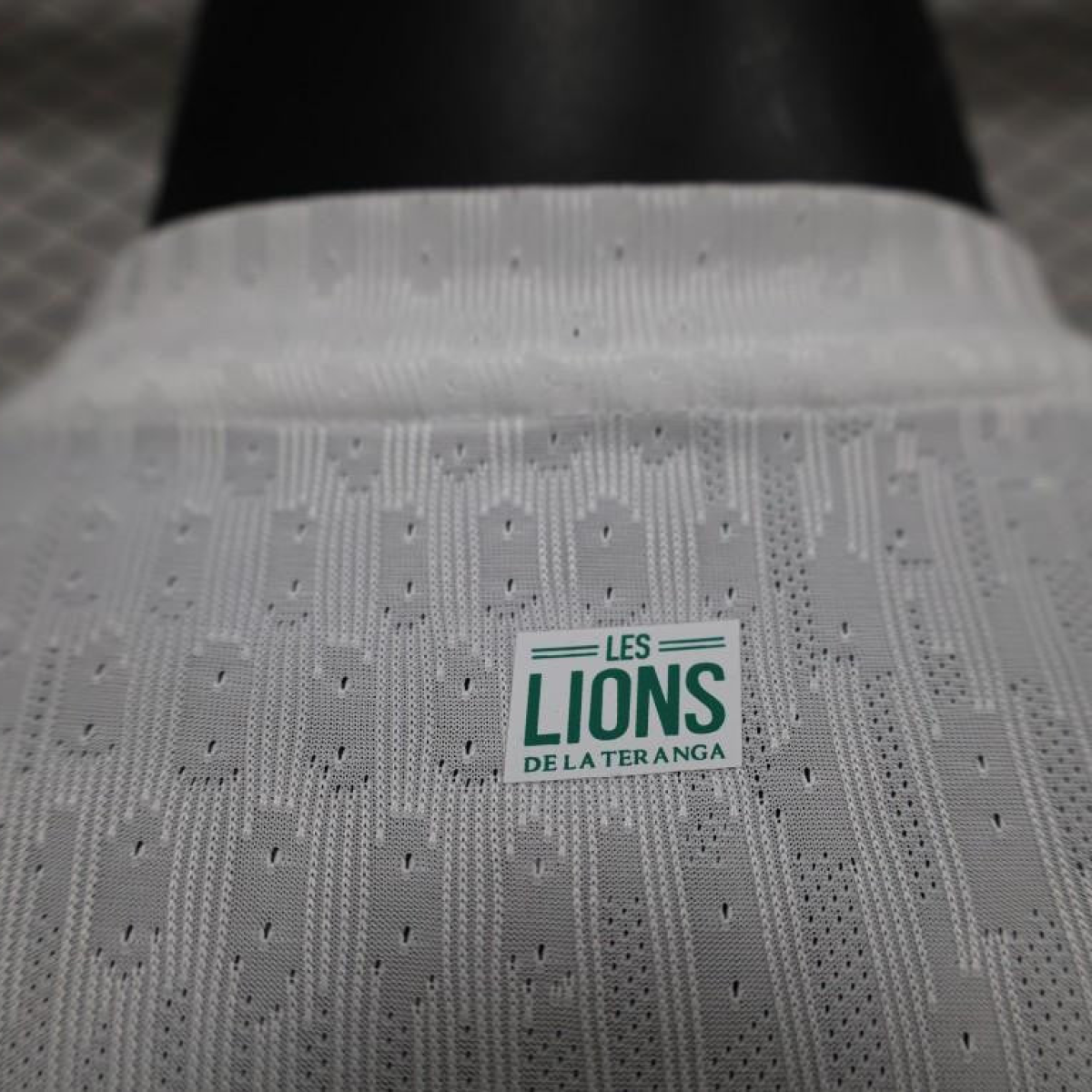 Player Version 2024 Senegal Home Jersey
