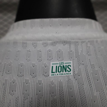 Player Version 2024 Senegal Home Jersey