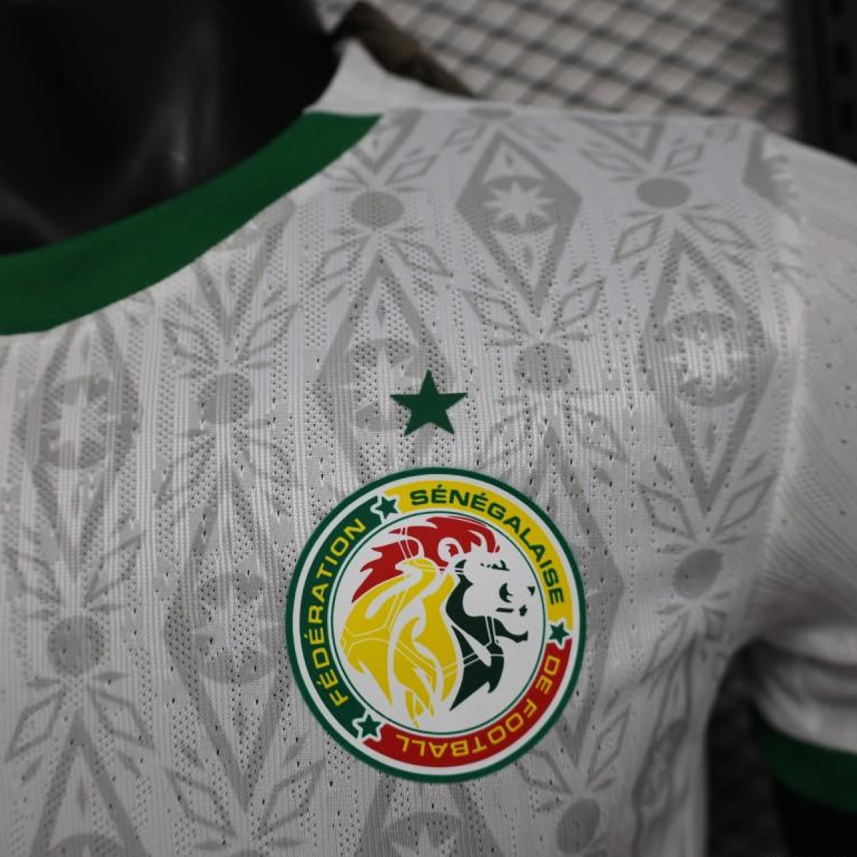 Player Version 2024 Senegal Home Jersey
