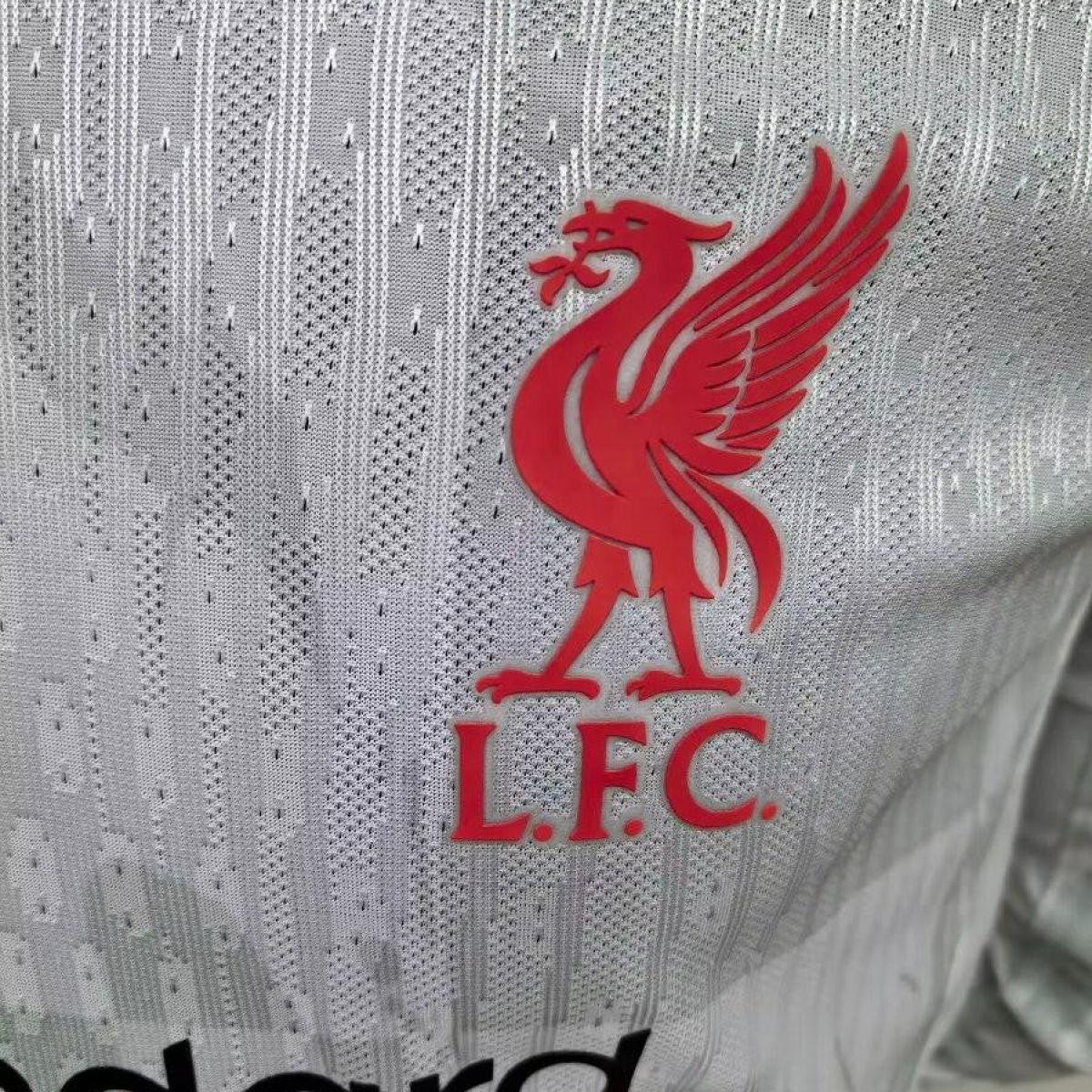 Player Version 24/25 Liverpool Third Long Sleeve Jeresy