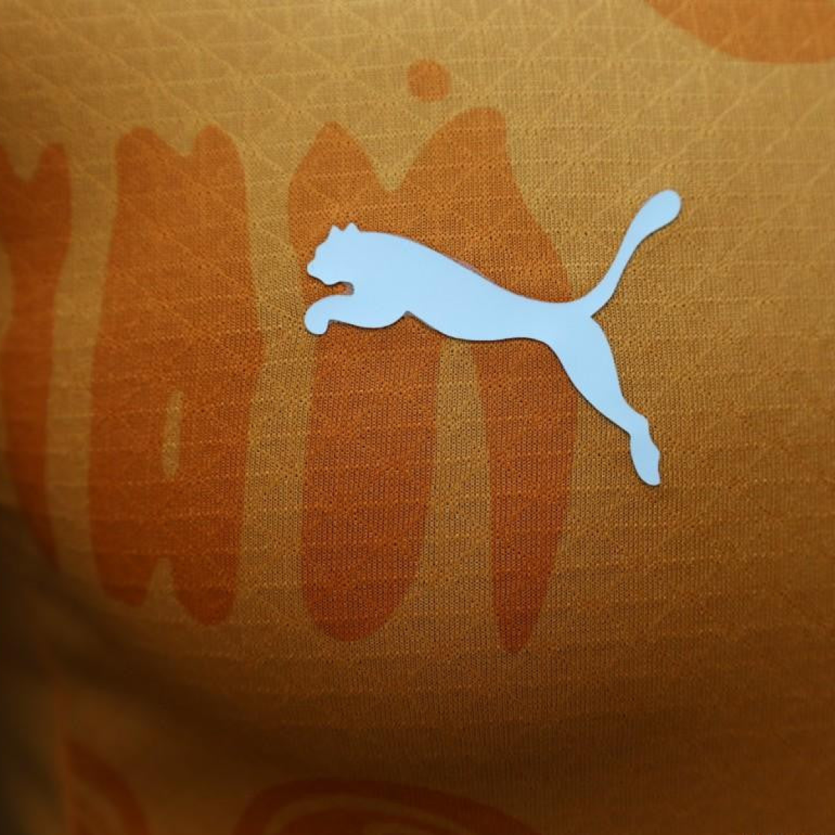 Player Version 2024 IVORY COAST Home Jersey