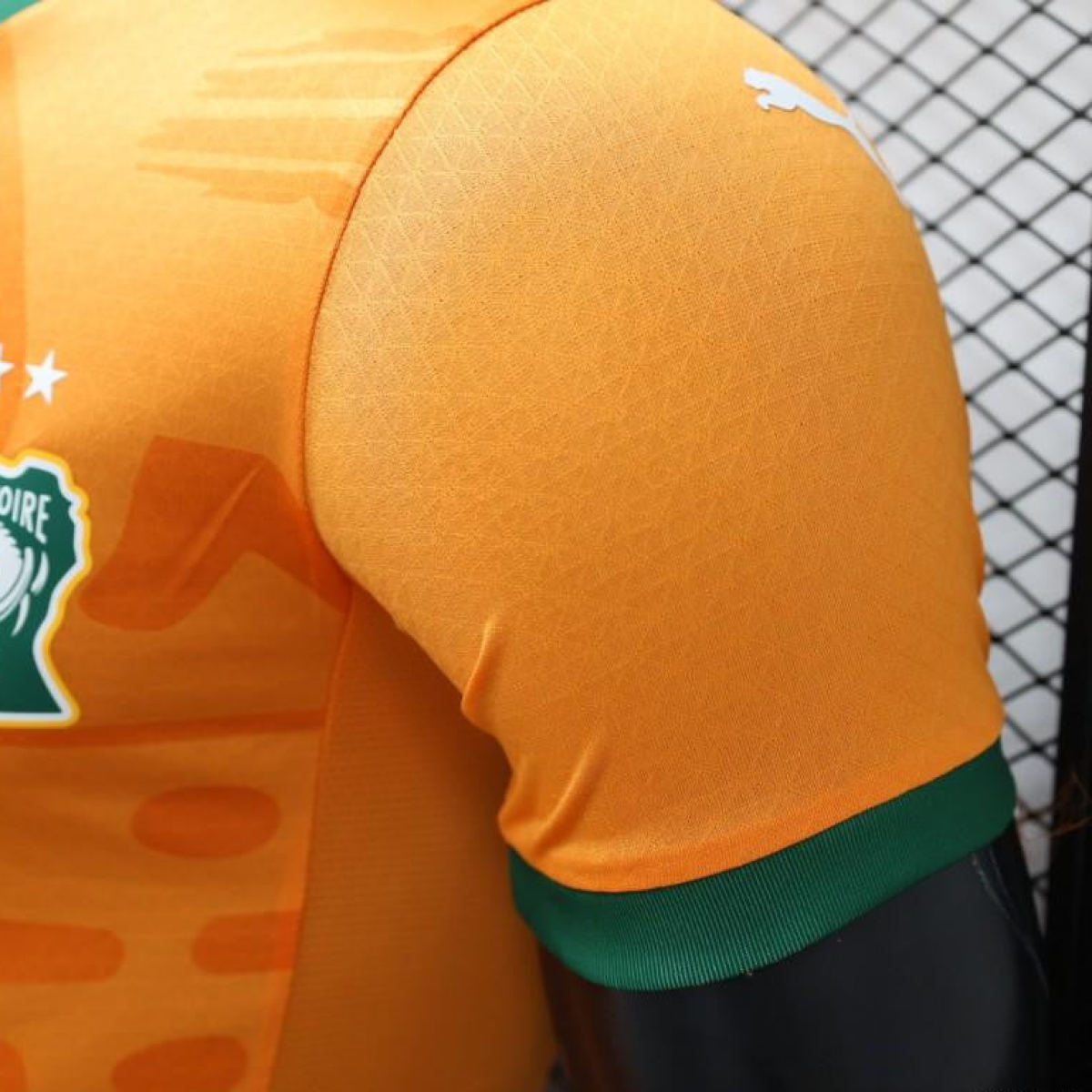 Player Version 2024 IVORY COAST Home Jersey
