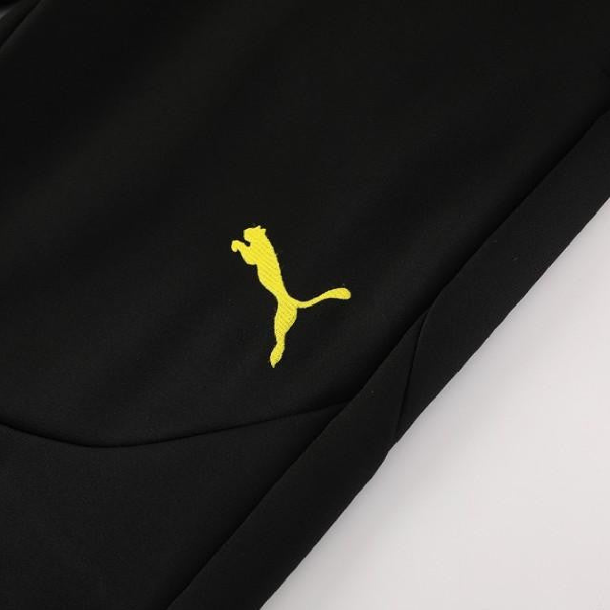 24/25 Borussia Dortmund Black/Yellow Full Zipper Jacket +Long Pants