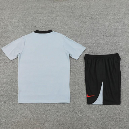 2024 South Korea Grey Short Sleeve Jersey+Shorts
