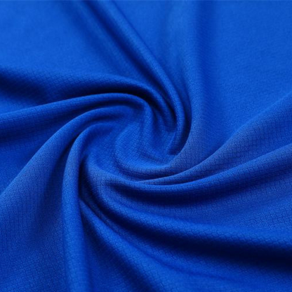 2024 South Korea Blue Short Sleeve Jersey+Shorts