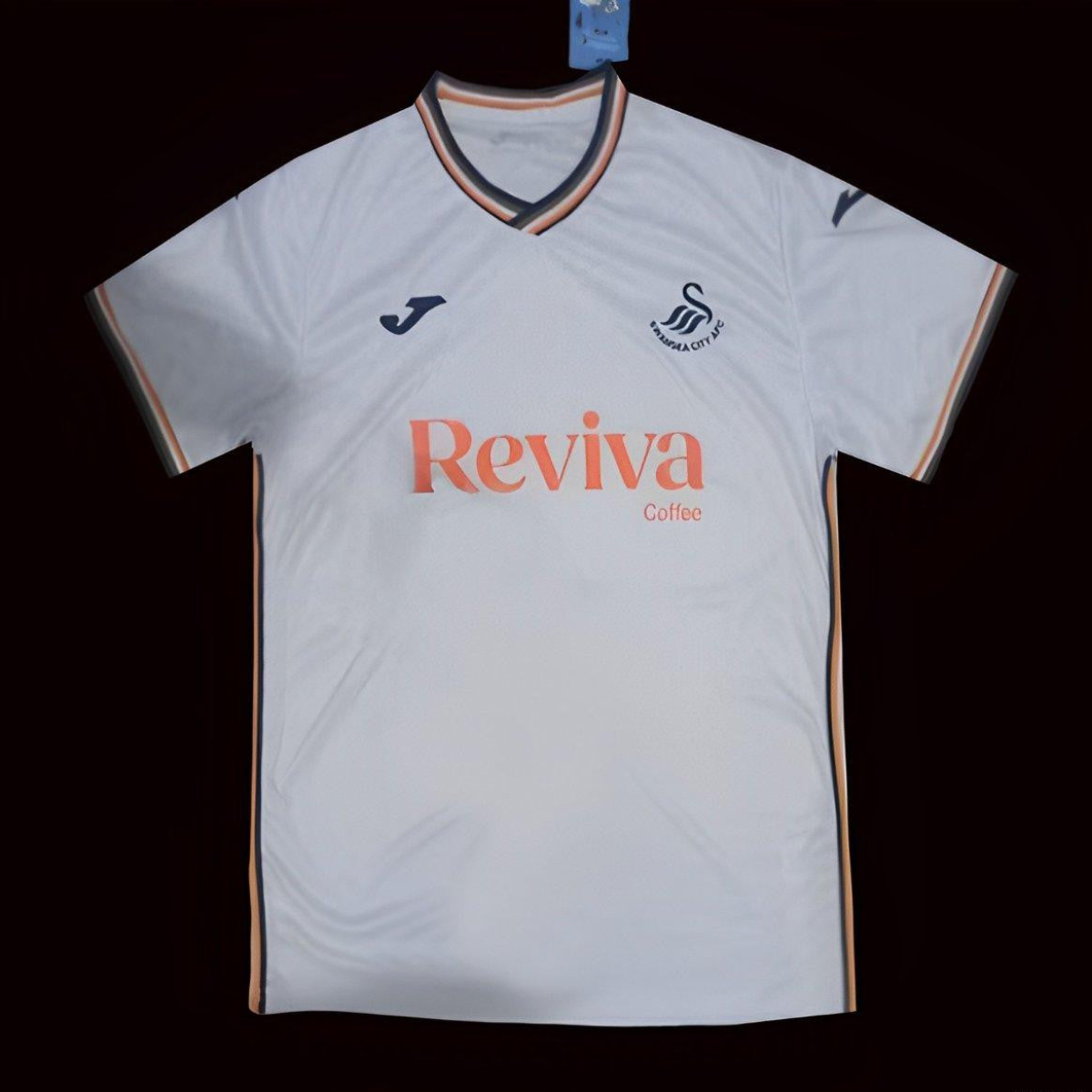 24/25 Swansea City Home Jersey