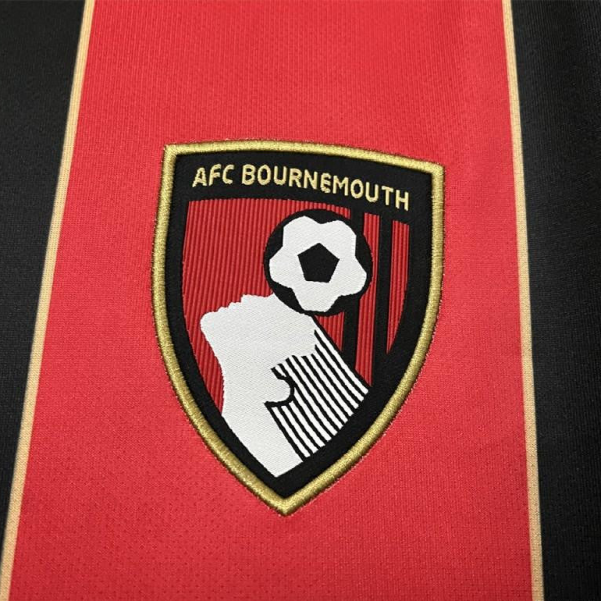 24/25 Bournemouth Home Jersey