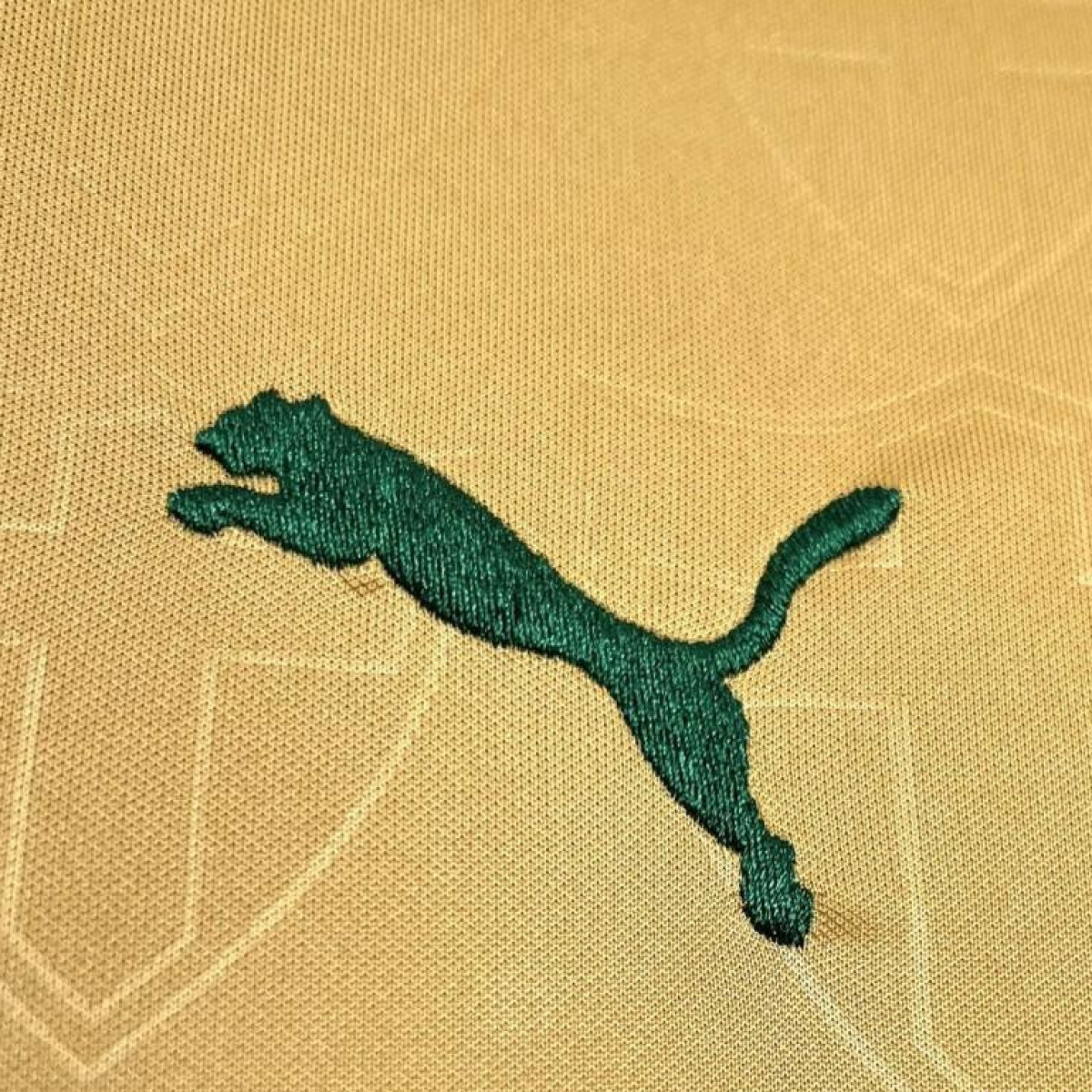 2024/25 Palmeiras Thirds Away Jersey