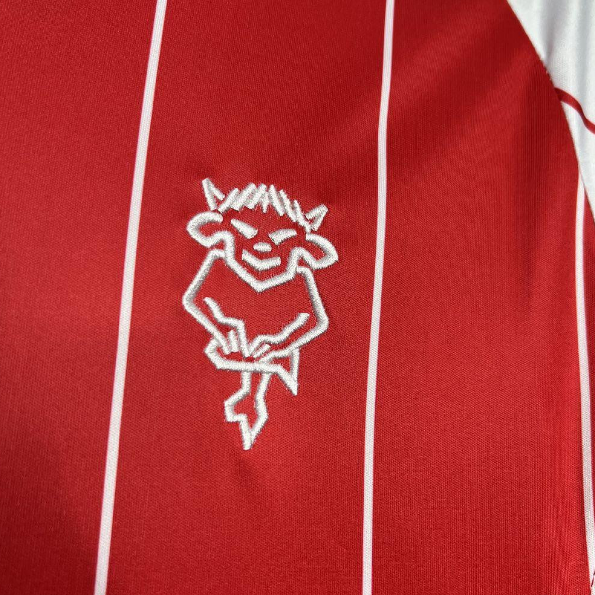 24/25 Lincoln City Home Jersey