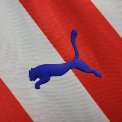 Retro 16/17 Chivas Guadalajara 110-Years Anniversary Home Jersey