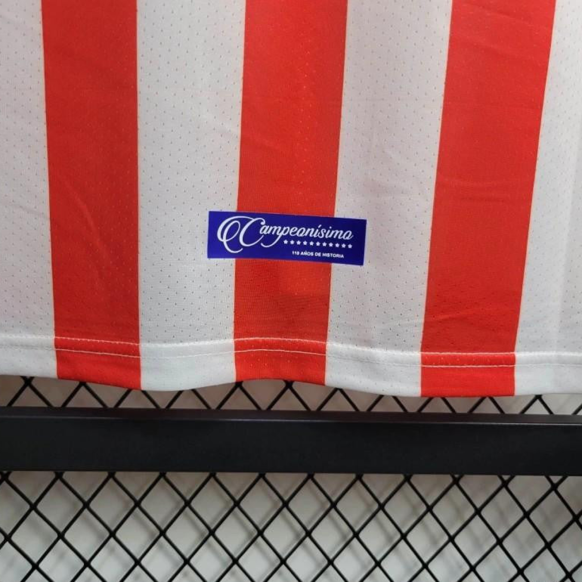 Retro 16/17 Chivas Guadalajara 110-Years Anniversary Home Jersey